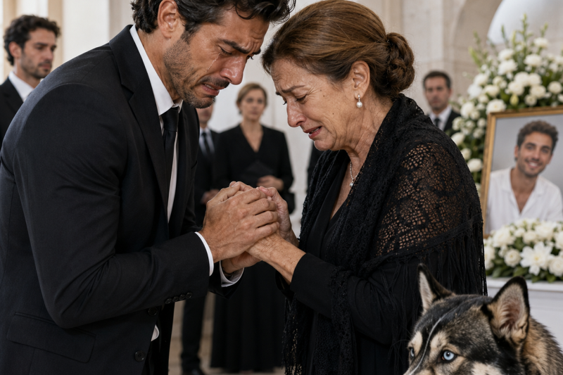 ntht/ Mi familia pensó que había perdido la cabeza cuando dije que mi perro me bloqueó la puerta y me salvó de ir a trabajar: “Necesitas ayuda, no otro fracaso”. Yo no respondí, abrí el celular temblando, y el mensaje de una madre buscando a su hijo cambió para siempre lo que todos creían de aquella mañana.